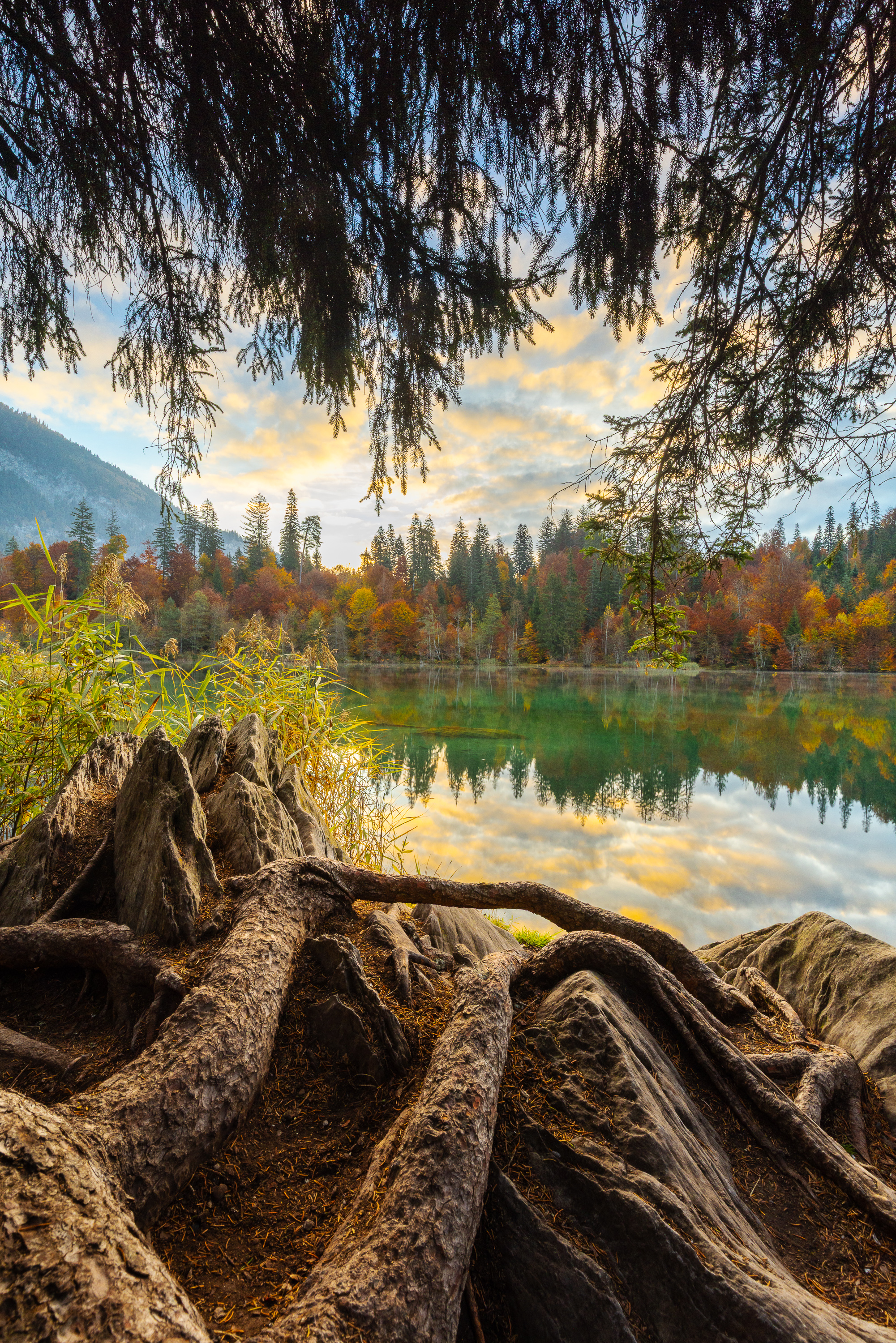 Herbstliche Morgenstimmung am Crestasee
