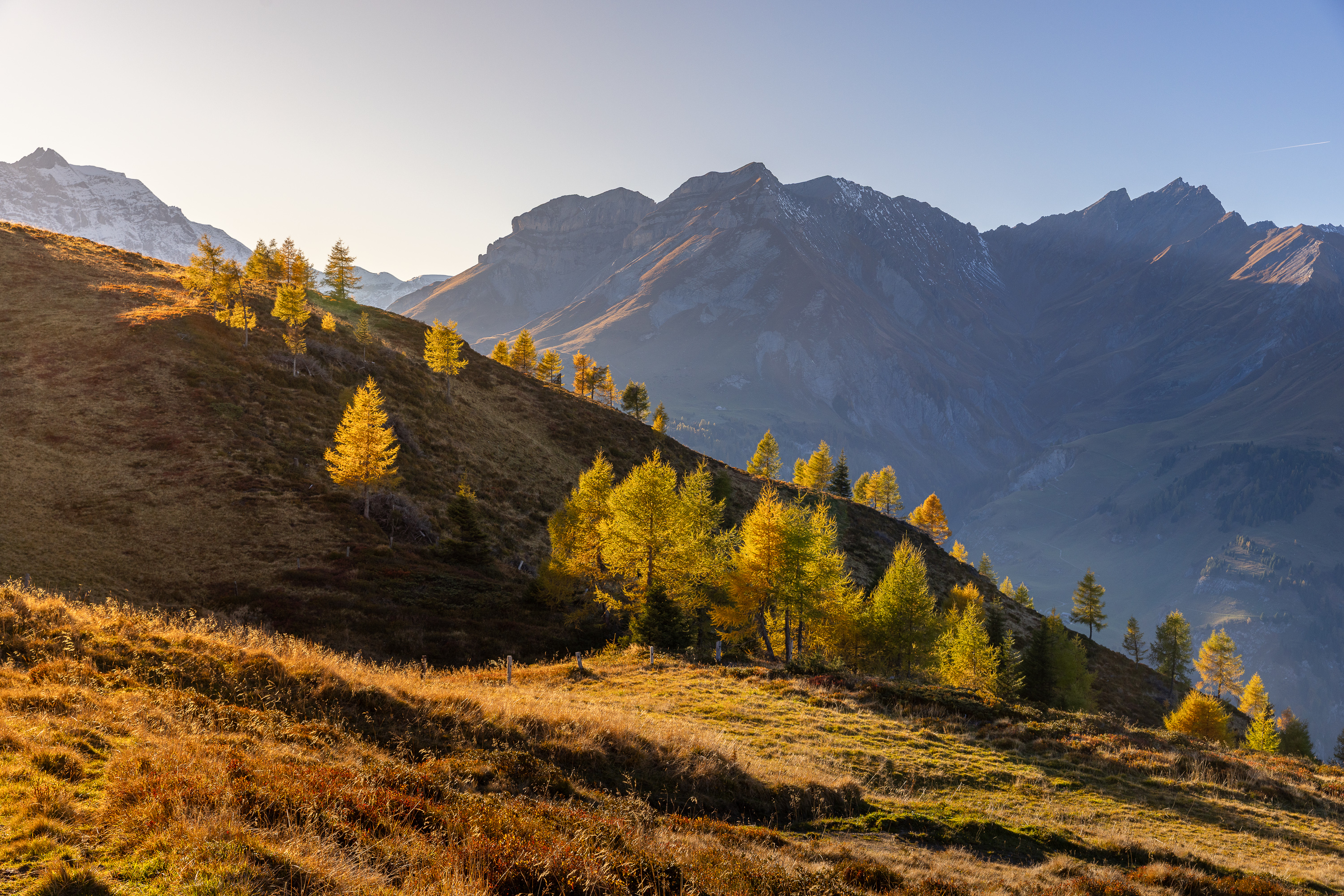 Herbst auf der Alp Salaz