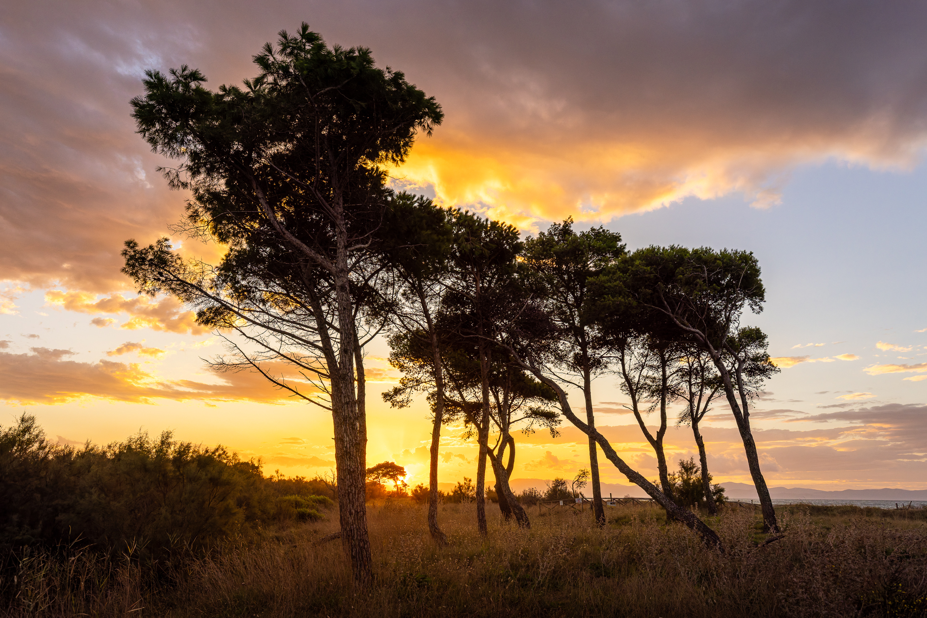 Sonnenaufgang in der Toskana
