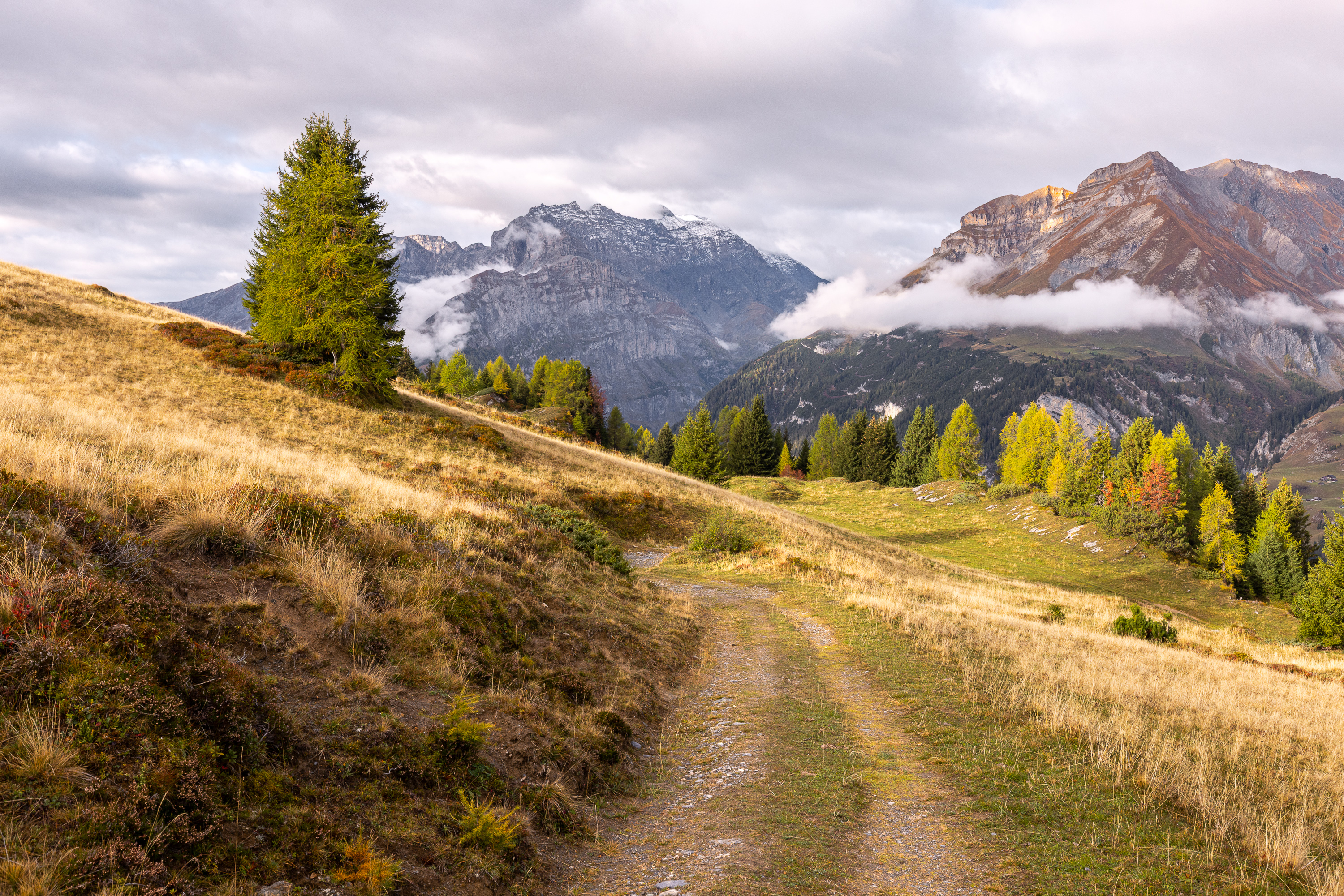 Herbst auf der Alp Salaz