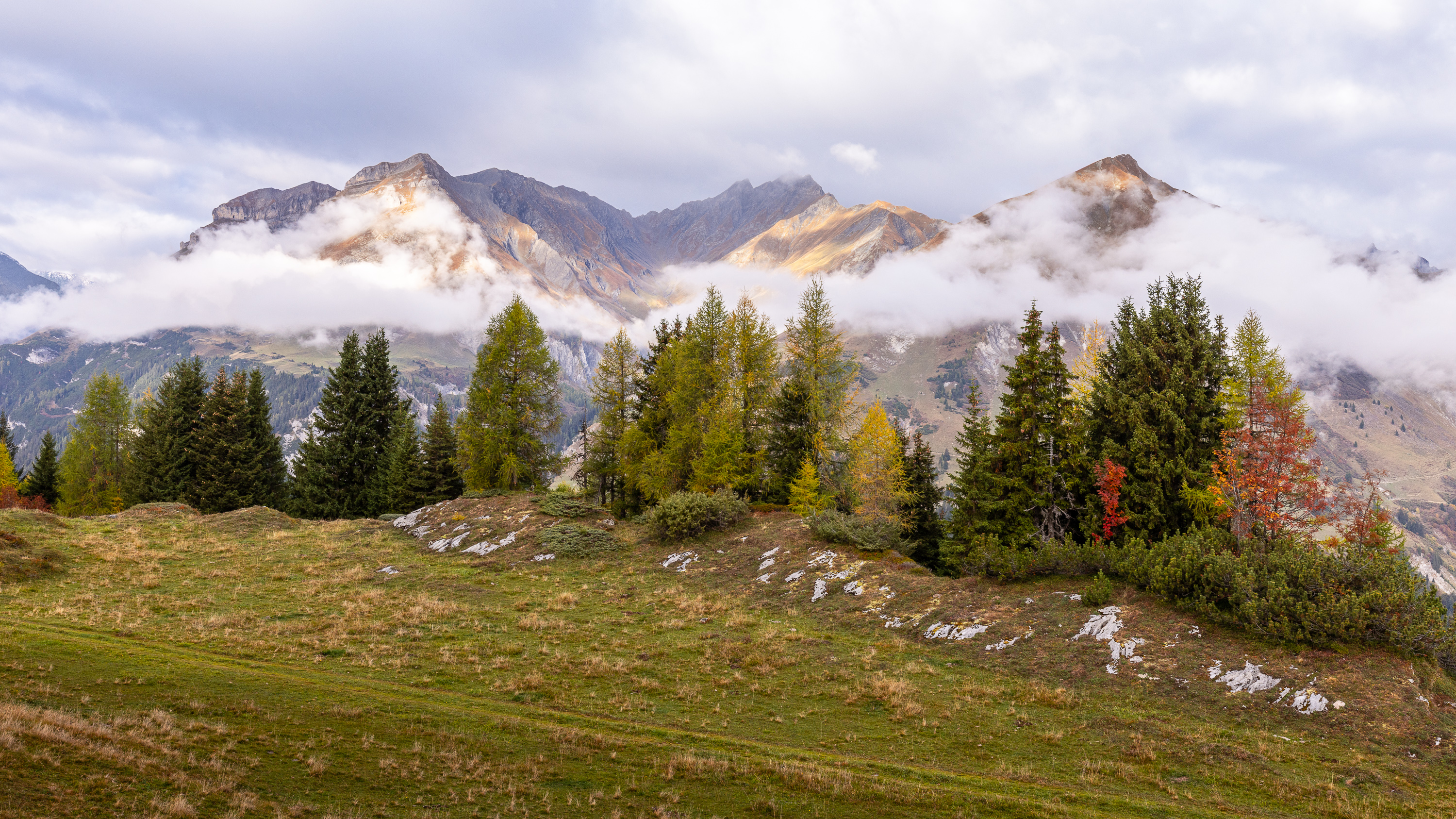 Herbst auf der Alp Salaz