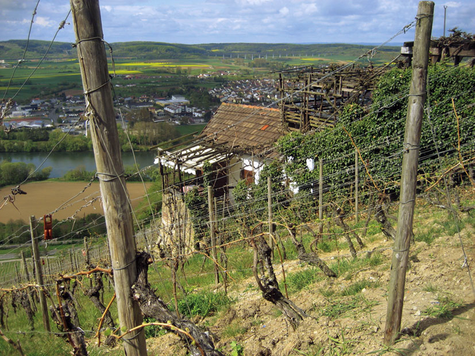 BAYERN - ZELLINGEN - Winzerhütte Retzbach - Branchen Einträge - Treffpunkt  Deutschland