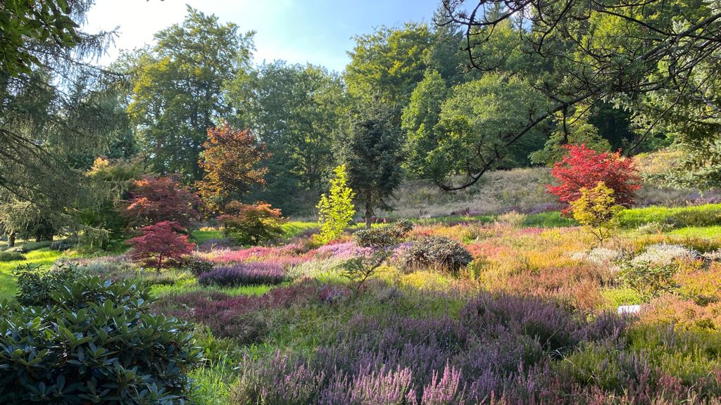 THÜRINGEN WASUNGEN Forstbotanischer Garten Branchen Einträge