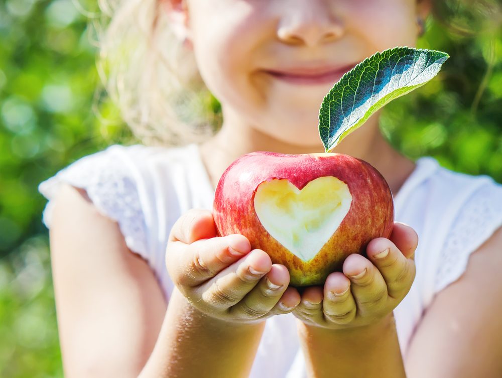 Dr. Wegdell Hamburg Fachgebiete