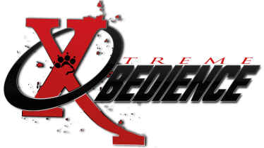 Xtreme Obedience