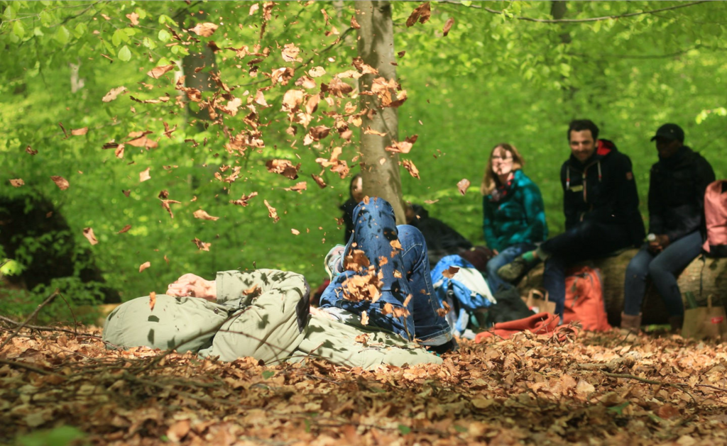 wald