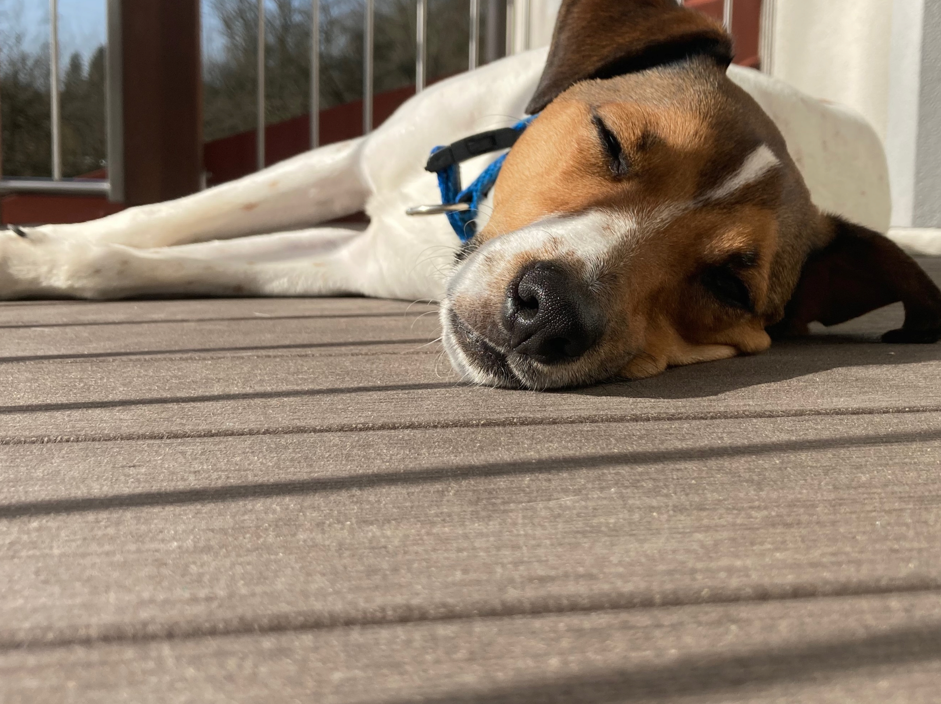 Prime Living Inspiration