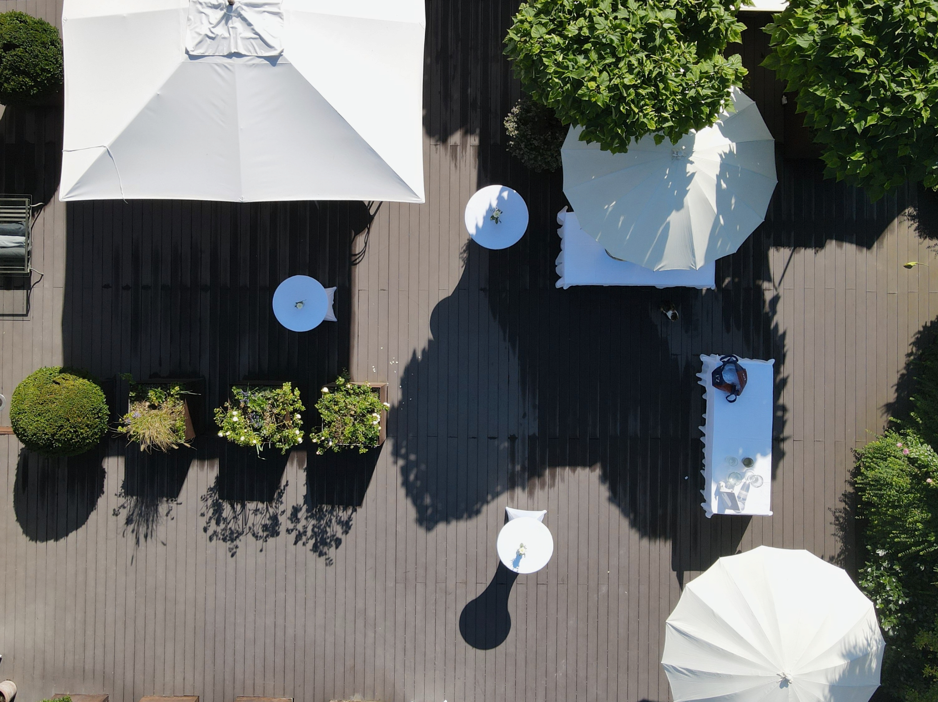 Prime Living Inspiration