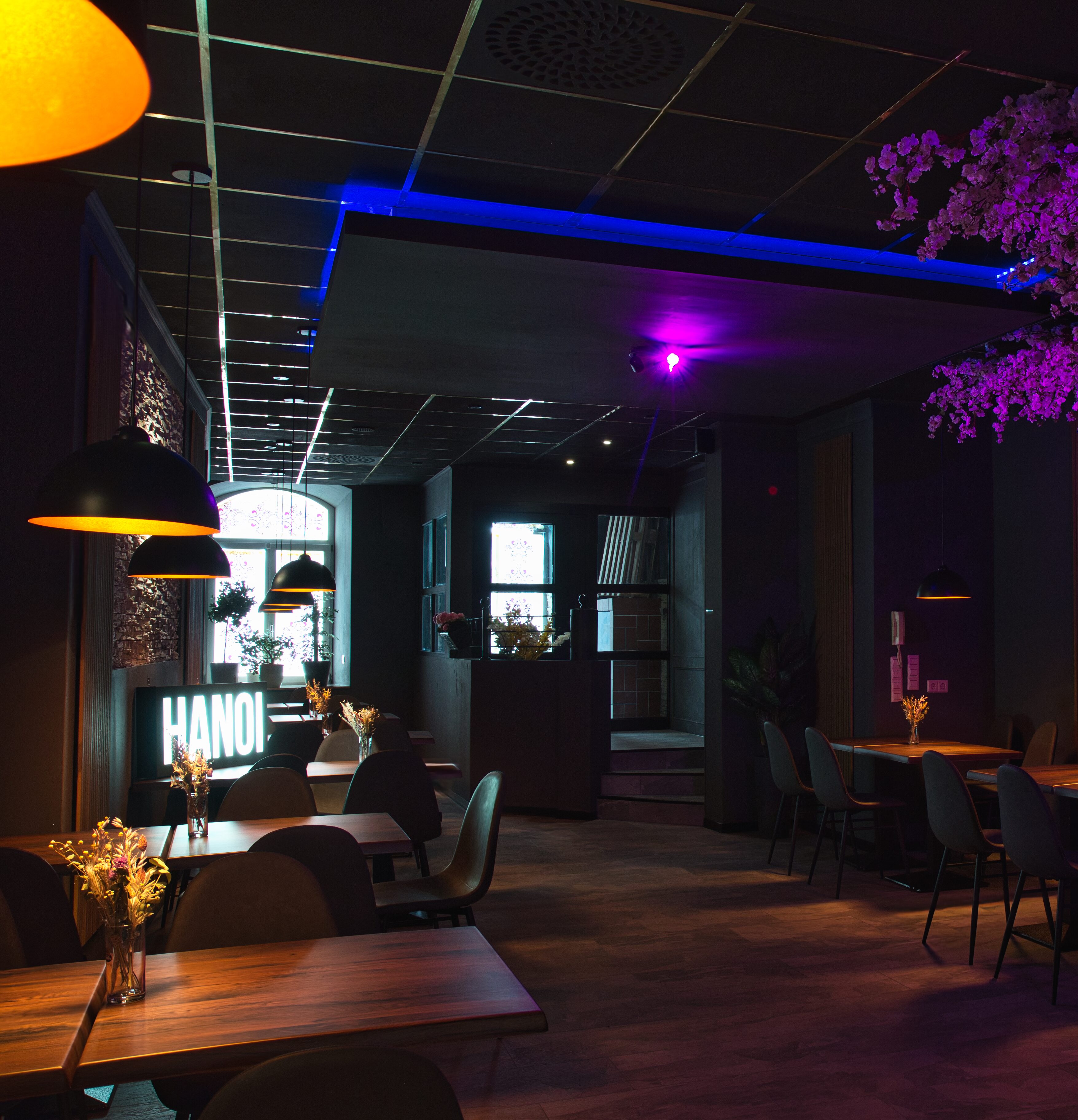 Blick in den modernen Gastraum