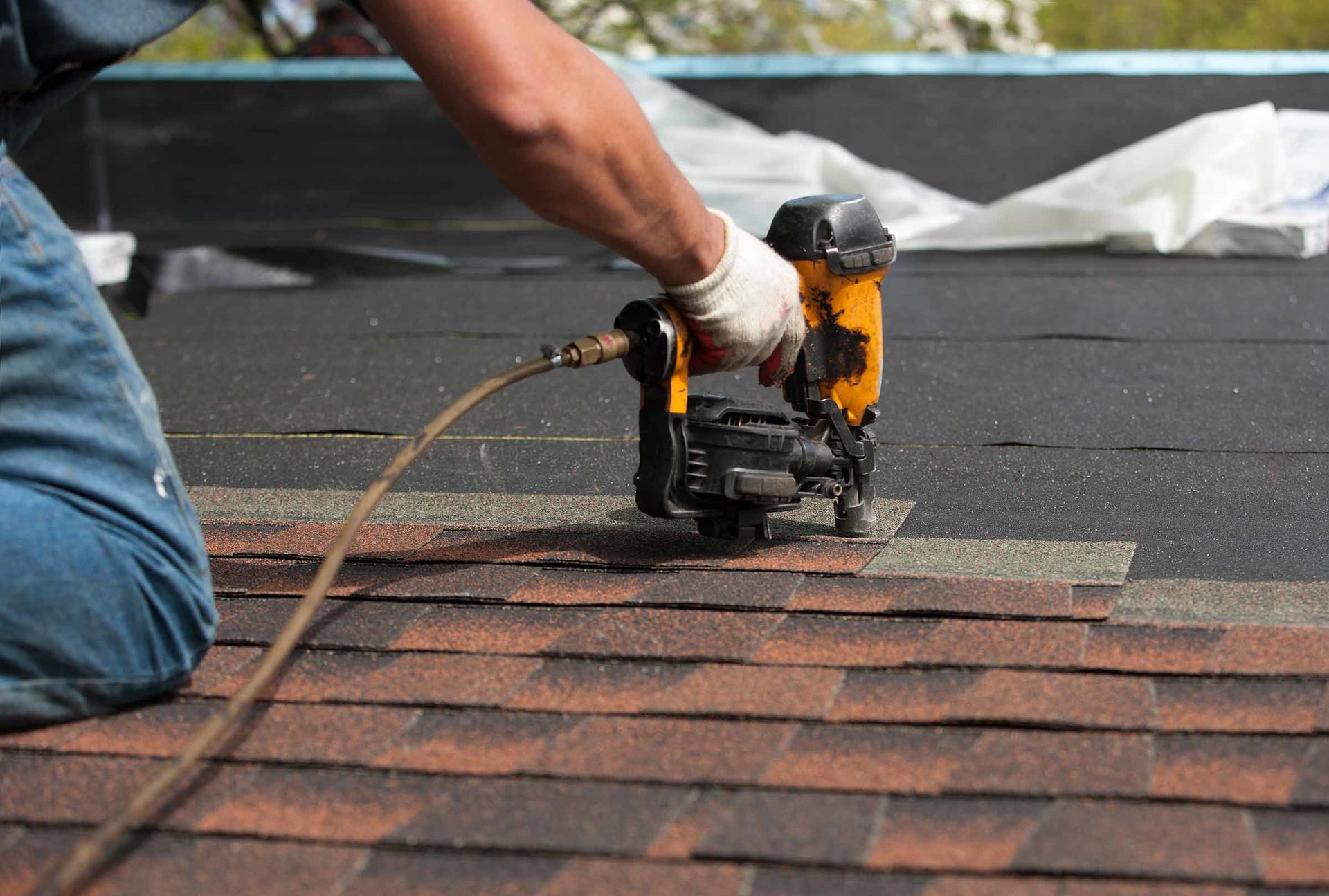 Local Roof Repairs Miami, FL Roof Repair Experts Near Me Bob Hilson Miami Roofing Experts