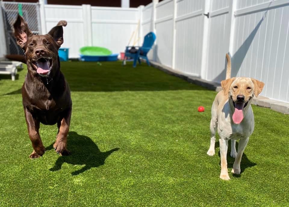 North Shore Our Facility Pawville