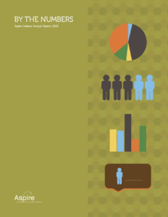 Aspire Indiana Annual Report 2013