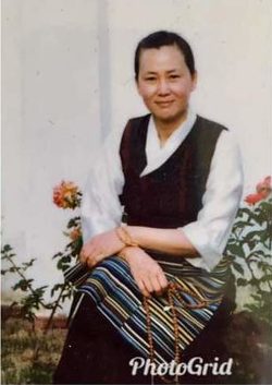 Sun Chun Hua 1990s