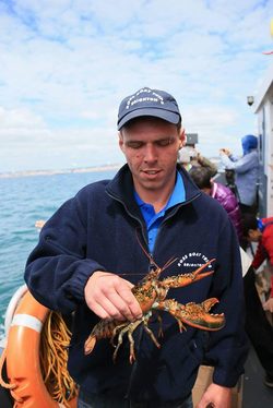 Photograph of Hai Tao's lobster in Brighton, 2015