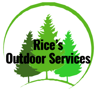 tree removal experts