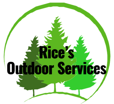 tree removal experts