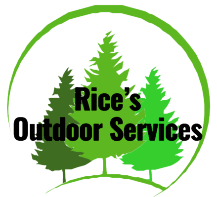 tree removal experts