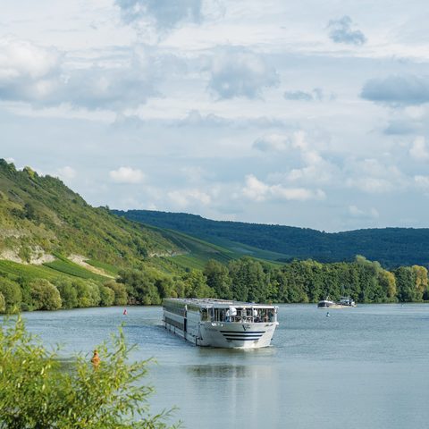 Quelle: Touristinformation Zellingen  Foto: Jürgen Storch