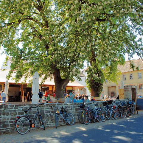 Quelle: Touristinformation Zellingen  Foto: Jürgen Storch