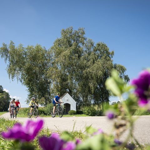 Kapelle Warching - Stadt Monheim Bildrechte: Stadt Monheim
