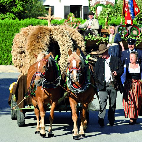 Bad Birnbach Erntedankfest Foto Kurverwaltung Bad Birnbach Bildquelle: Tourismusverband Ostbayern e.V.