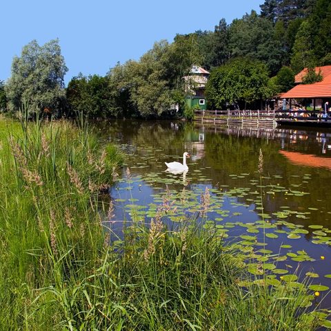  Waltenhofen Widdumer Weiher Fischerhütte Quelle: Allgäuer Seenland 