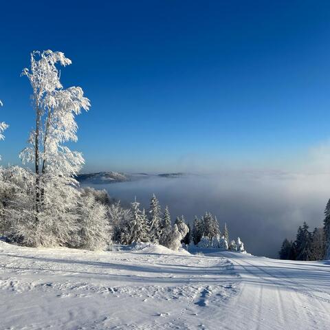 © Touristinformation Steinach