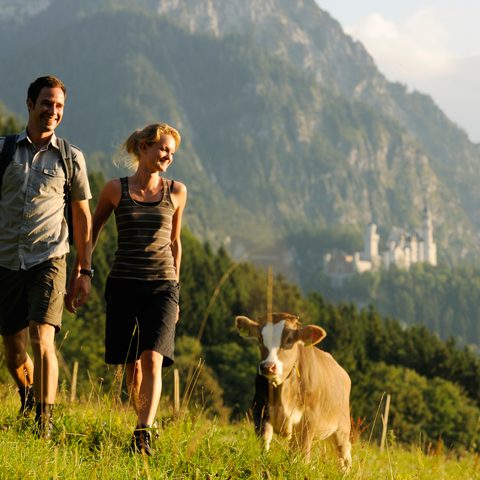  Wanderer mit Kuh © Füssen Tourismus und Marketing / www.guenterstandl.de 