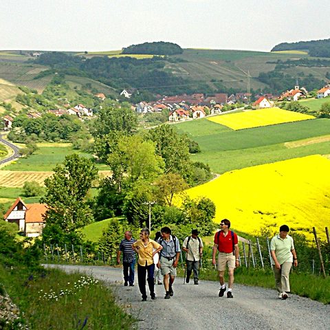 Retzstadt Quelle: Reinhold Meurer - Tourismusbeauftragte der Gemeinde Retzstadt Quelle: Reinhold Meurer - Tourismusbeauftragte der Gemeinde Retzstadt