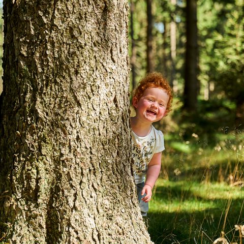 Waldzwerg Bildrechte Frankenwald Tourismus & M. Felgenhauer