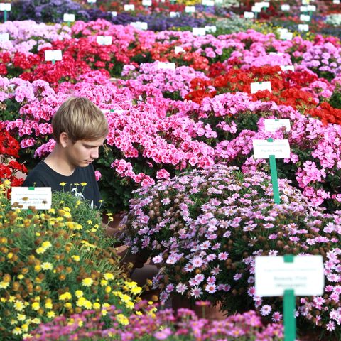 Landesanstalt für Wein- und Gartenbau Fotograf: K.J. Hildenbrand Quelle: Gemeinde Veitshöchheim Tourist-Information
