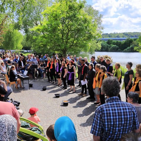Promenadenmischung Fotograf: Ronald Grunert-Held Quelle: Gemeinde Veitshöchheim Tourist-Information
