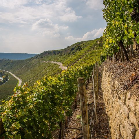 Hessigheim Felsengärten (c) Maxmann; Pixabay. Quelle: Kraichgau-Stromberg Tourismus e. V.