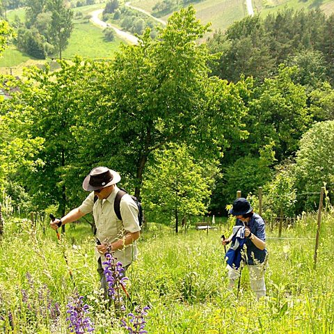 Retzstadt Quelle: Reinhold Meurer - Tourismusbeauftragte der Gemeinde Retzstadt
