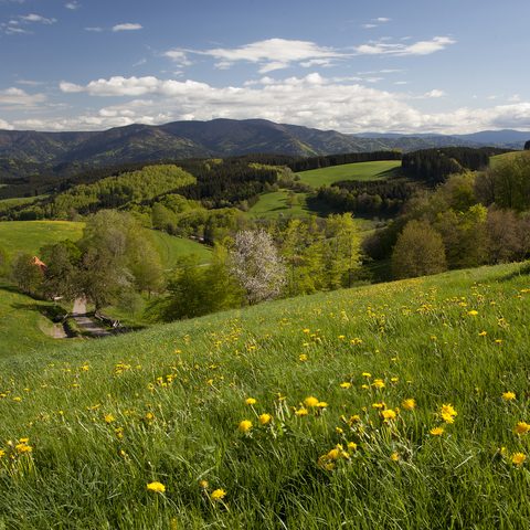 ZweiTälerLand - Copyright: Fotograf Clemens Emmler