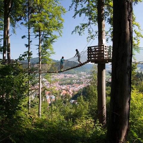 ZweiTälerLand - Baumkronenweg / Copyright: Fotograf Clemens Emmler