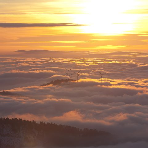 ZweiTälerLand - Ausblick / Copyright: Fotograf Clemens Emmler