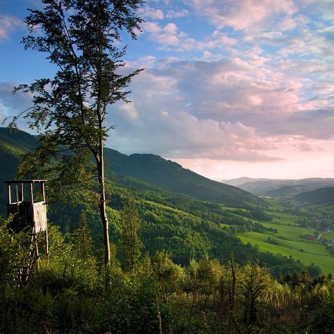 ZweiTälerLand - Abendleuchten / Copyright: Fotograf Clemens Emmler