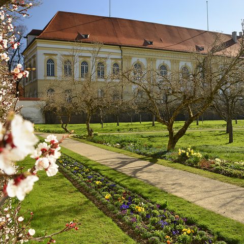 Schloss Dachau @ Jörg Lutz Bildrechte: Stadt Dachau