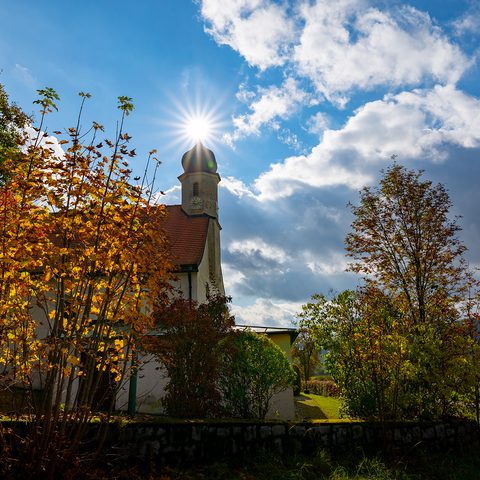 Arnbruck WoidlifeBildrechte: Tourist- Info Arnbruck