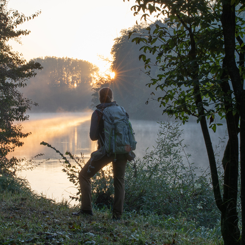 Sonnenaufgang im DonAUwald © Beate Wand