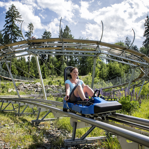 AlpineCoaster Ochsenkopf © Tourismuszentrale Fichtelgebirge/Florian Trykowski 