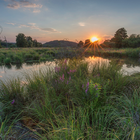 Deusmauer Moor © Stadt Velburg / Fotograf Hubert Schraml