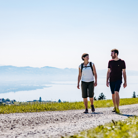 Wanderwege Scheidegg © Landkreis Lindau (Bodensee) / Frederick Sams