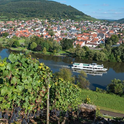 Weinberge Blick auf Bürgstadt l © Bernd Ullrich Quelle: DREI AM MAIN