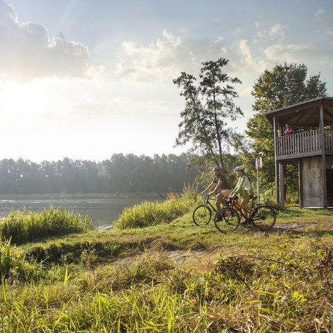 Bayerisch-Schwaben - Aussichtsturm an der Donau / Copyright: Fouad Vollmer