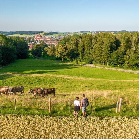 Aussichtspunkt Konohof
Bildrechte: Louis Zuchtriegel
Quelle: Touristikamt Kur & Kultur Ottobeuren