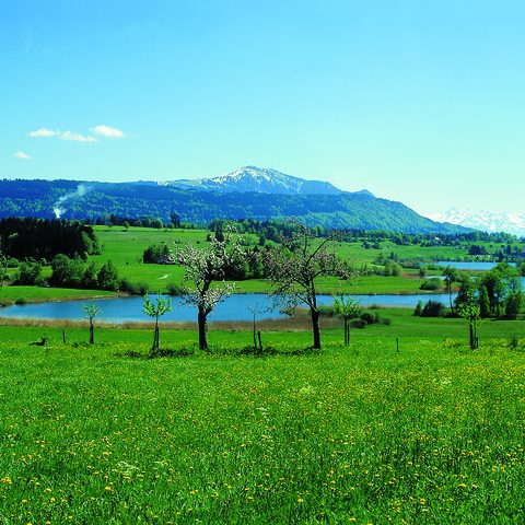 Waltenhofen Niedersonthofener See Quelle: Allgäuer Seenland 