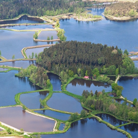 Tirschenreuther Teichpfanne © Thomas Sporrer