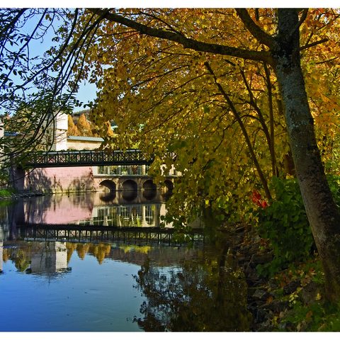 Herbstlicher Park (c) Flavio Burul novArte Fotodesign. 